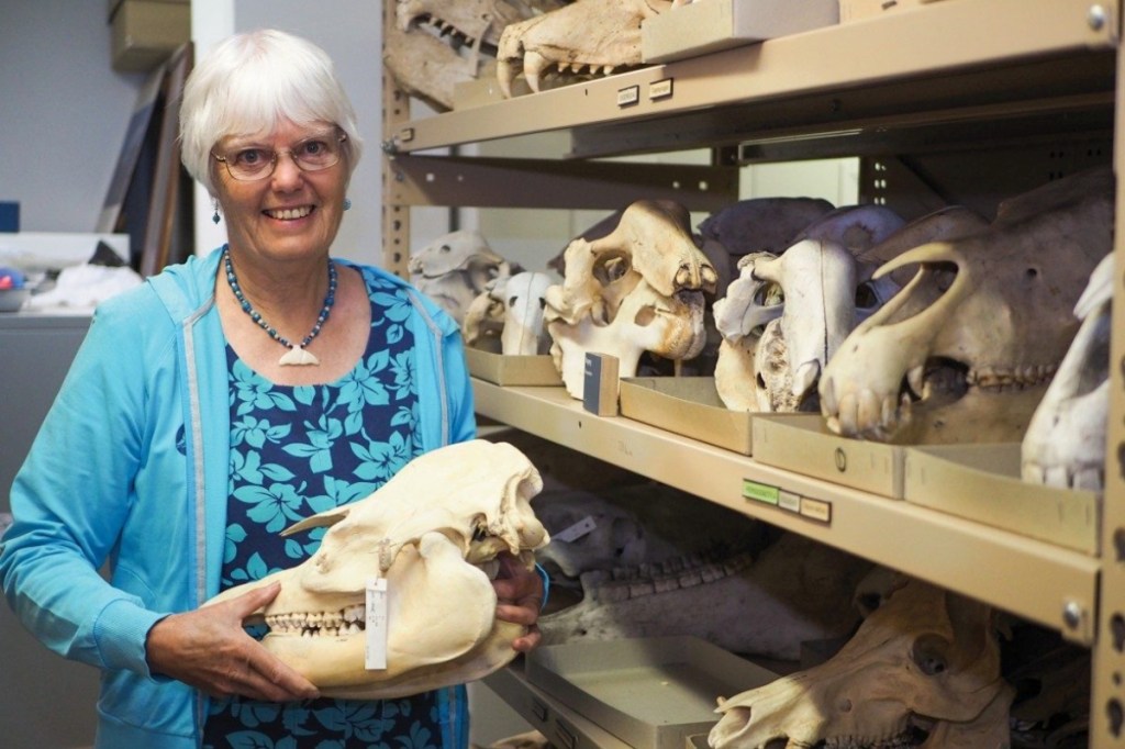Dr Catherine Kemper said there has been a devaluing of science at the SA Museum.