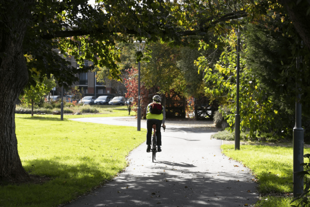 Thumbnail for City council rejects big rate rise for asset upgrades