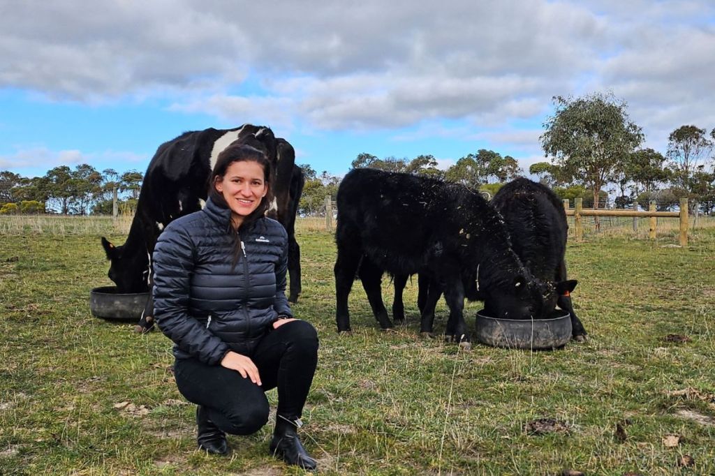 Thumbnail for The SA start-up improving cattle genetics