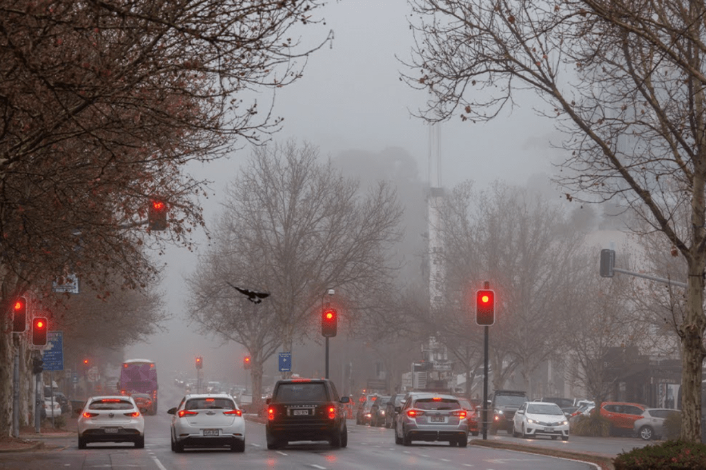 Dreary Hutt Street. Photo: Tony Lewis / InDaily