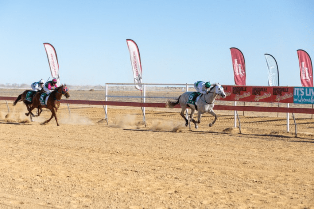 Thumbnail for Adelaide Hills family’s legacy boosts South Australia’s chances at Birdsville Races