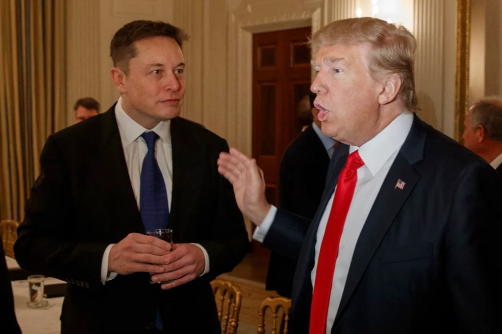 Thumbnail for Trump would ask Musk to lead a federal government audit