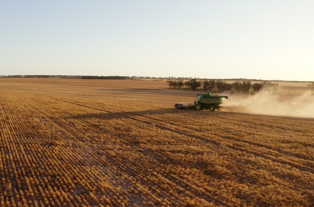 Kimba, in the state's grain heartland. Photo: Jordan Agutter/InDaily