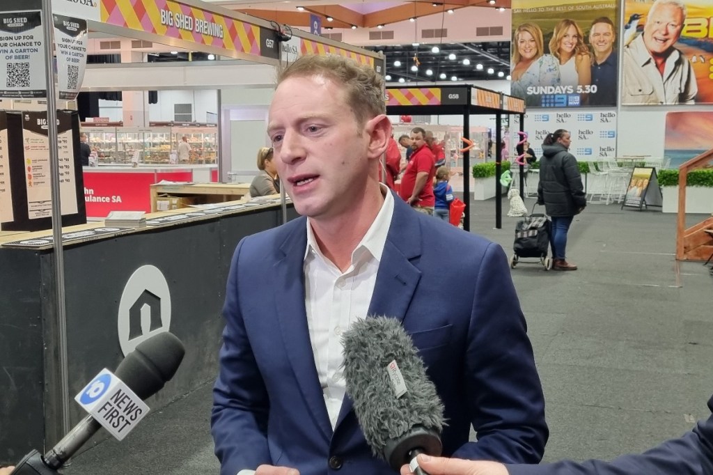 Thumbnail for Speirs: Federal takeover of SA Liberal Party should be ‘seriously considered’