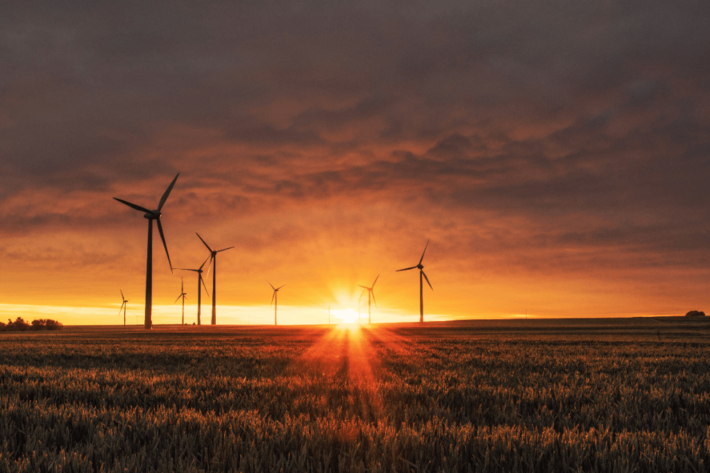Thumbnail for Mandatory climate reporting in Australia