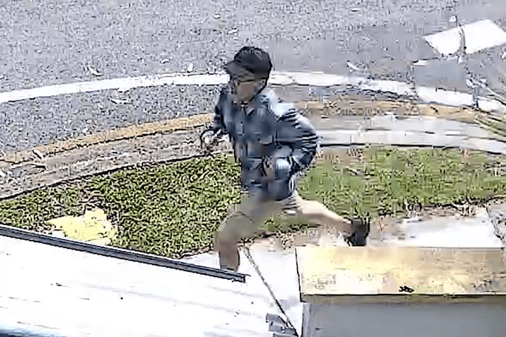 Thumbnail for International search for man wanted over hot coffee attack on baby