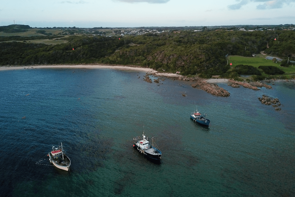 Lobster boats off Tasmania's King Island. The fishing industry opposed plans for Bass Strait seismic testing as part of oil and gas exploration. Photo: AAP