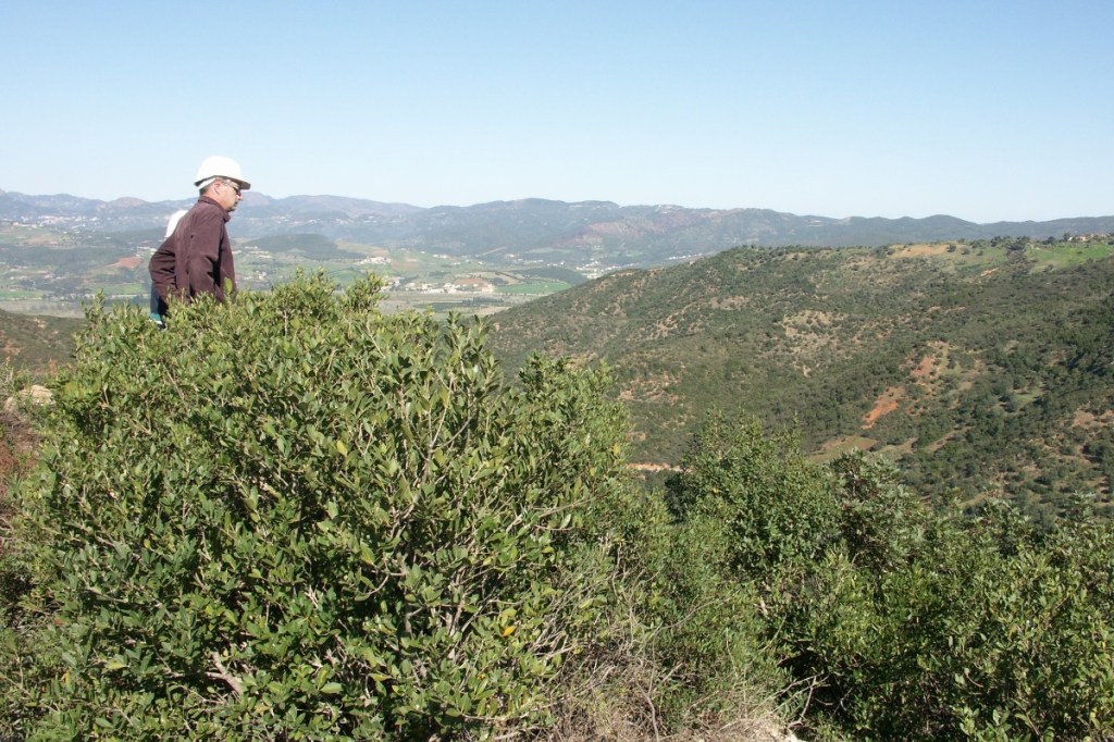 Terramin Australia recently acquired all the land which covers the footprint of the Tala Hamza Mining Permit in Algeria. Photo: Terramin.