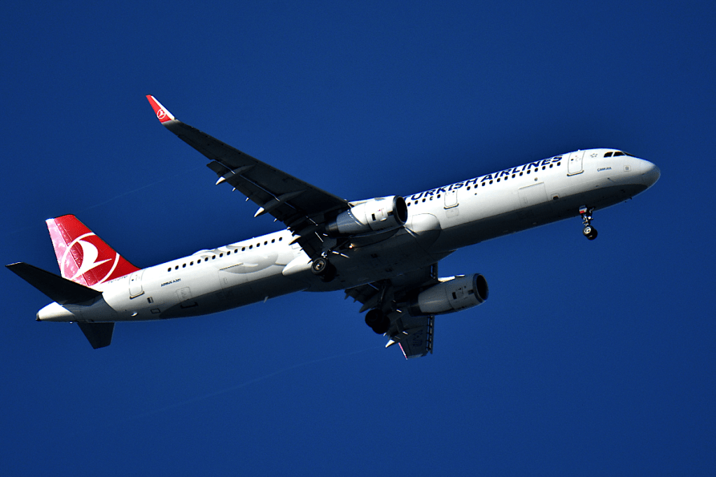 Thumbnail for Pilot’s mid-air death sparks emergency landing