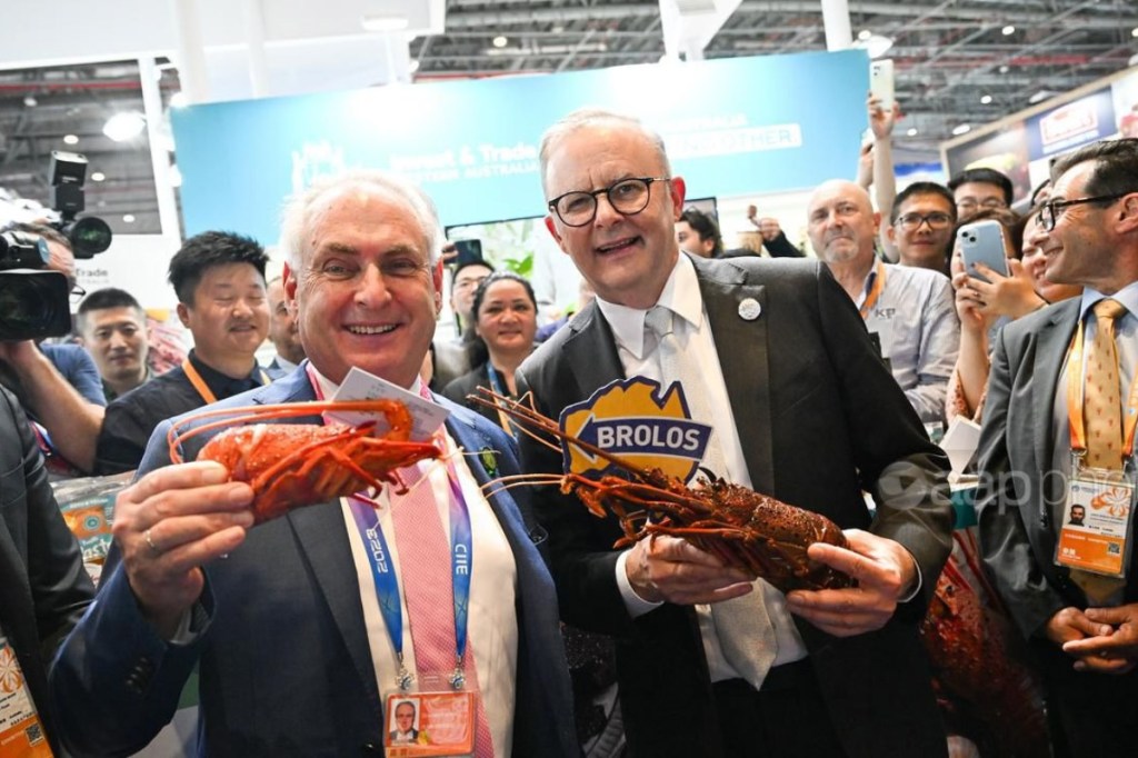 Thumbnail for SA lobsters back on China’s menu after export ban breakthrough