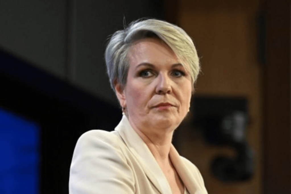 Environment Minister Tanya Plibersek says there are concerns about the impact of bird flu variant H5N1 on endangered species in Australia. Photo: AAP