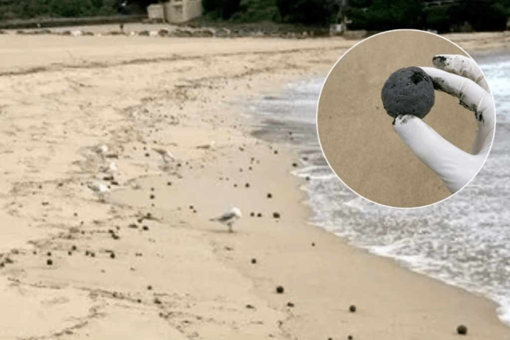 Thumbnail for Mysterious ‘dark spheres’ force Sydney beach closure