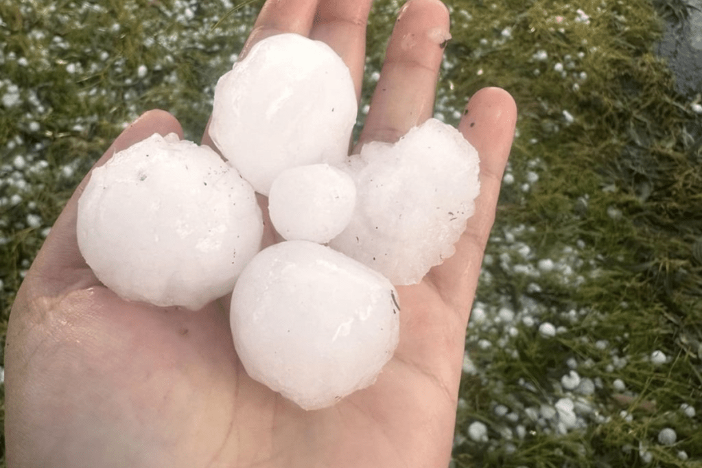 Thumbnail for Hail the size of golf balls batters town