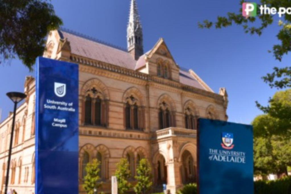 Thumbnail for On a university resignation and more
