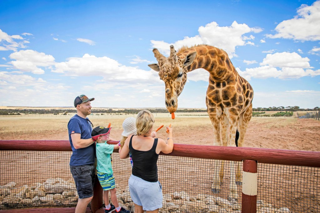 Thumbnail for SA tourism champions celebrated